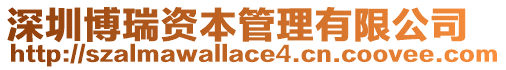 深圳博瑞資本管理有限公司