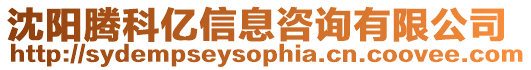 沈陽騰科億信息咨詢有限公司