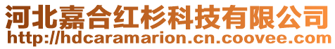 河北嘉合紅杉科技有限公司