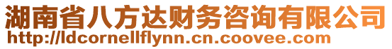 湖南省八方達(dá)財務(wù)咨詢有限公司