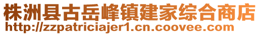 株洲縣古岳峰鎮(zhèn)建家綜合商店
