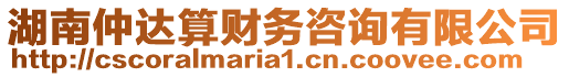 湖南仲達算財務咨詢有限公司