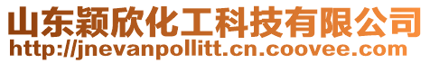 山東穎欣化工科技有限公司