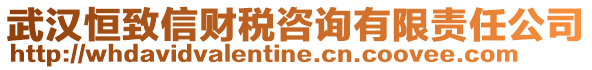 武漢恒致信財稅咨詢有限責(zé)任公司