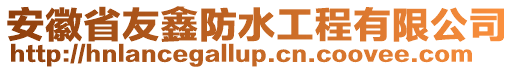 安徽省友鑫防水工程有限公司