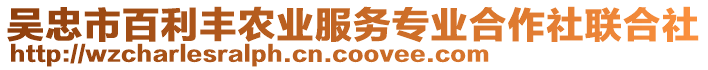 吳忠市百利豐農(nóng)業(yè)服務(wù)專業(yè)合作社聯(lián)合社