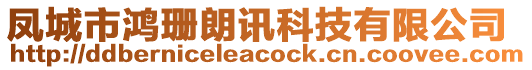 鳳城市鴻珊朗訊科技有限公司