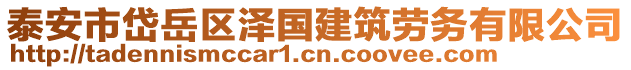 泰安市岱岳區(qū)澤國建筑勞務有限公司