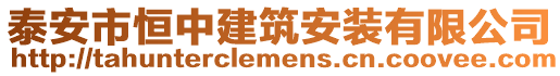 泰安市恒中建筑安裝有限公司