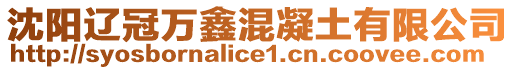 沈陽(yáng)遼冠萬(wàn)鑫混凝土有限公司