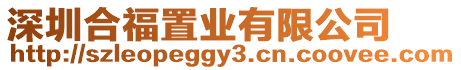 深圳合福置業(yè)有限公司