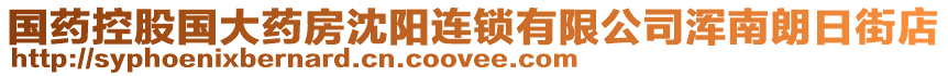 國藥控股國大藥房沈陽連鎖有限公司渾南朗日街店