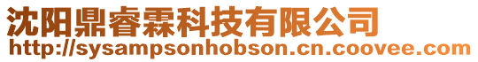 沈陽鼎睿霖科技有限公司