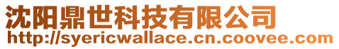 沈陽鼎世科技有限公司