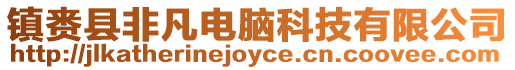 鎮賚縣非凡電腦科技有限公司