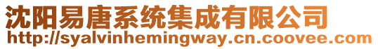 沈陽易唐系統(tǒng)集成有限公司