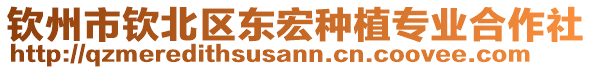 欽州市欽北區東宏種植專業合作社