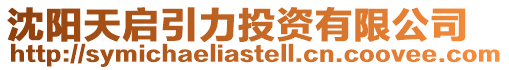 沈陽天啟引力投資有限公司