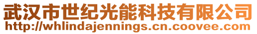 武漢市世紀光能科技有限公司