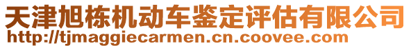 天津旭棟機動車鑒定評估有限公司