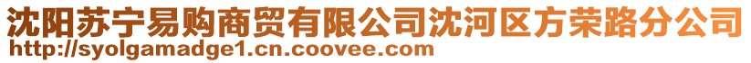 沈陽蘇寧易購商貿有限公司沈河區方榮路分公司