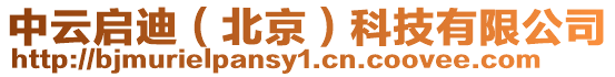 中云啟迪(北京)科技有限公司