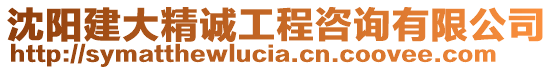 沈陽建大精誠工程咨詢有限公司