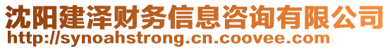 沈陽建澤財務信息咨詢有限公司