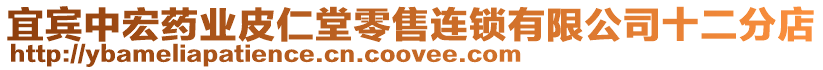 宜賓中宏藥業皮仁堂零售連鎖有限公司十二分店