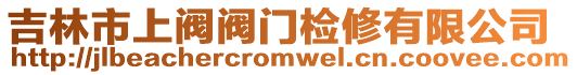 吉林市上閥閥門檢修有限公司