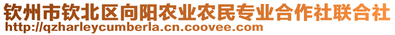 欽州市欽北區(qū)向陽農(nóng)業(yè)農(nóng)民專業(yè)合作社聯(lián)合社