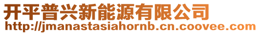 開平普興新能源有限公司