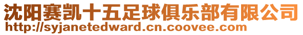 沈陽(yáng)賽凱十五足球俱樂部有限公司