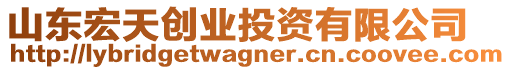 山東宏天創(chuàng)業(yè)投資有限公司