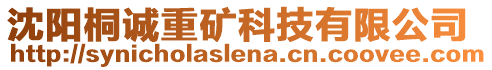 沈陽桐誠重礦科技有限公司