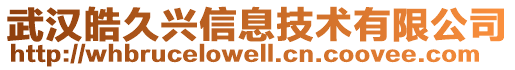 武漢皓久興信息技術(shù)有限公司