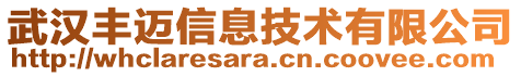 武漢豐邁信息技術(shù)有限公司