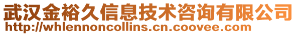 武漢金裕久信息技術(shù)咨詢有限公司