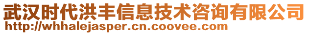 武漢時代洪豐信息技術咨詢有限公司