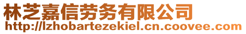 林芝嘉信勞務(wù)有限公司