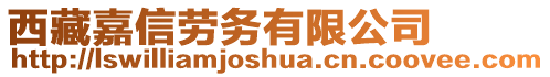 西藏嘉信勞務(wù)有限公司