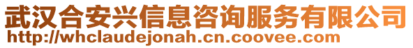 武漢合安興信息咨詢服務有限公司