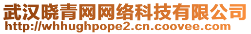 武漢曉青網(wǎng)網(wǎng)絡(luò)科技有限公司