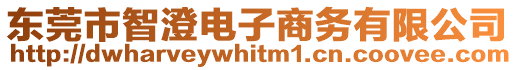 東莞市智澄電子商務(wù)有限公司