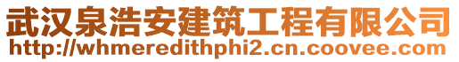 武漢泉浩安建筑工程有限公司