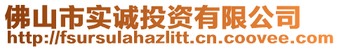 佛山市實誠投資有限公司