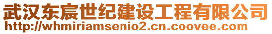 武漢東宸世紀建設工程有限公司