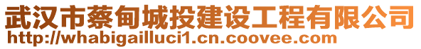 武漢市蔡甸城投建設(shè)工程有限公司