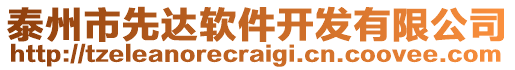 泰州市先達軟件開發有限公司