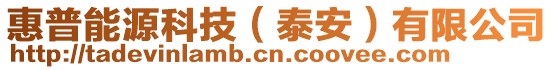 惠普能源科技(泰安)有限公司